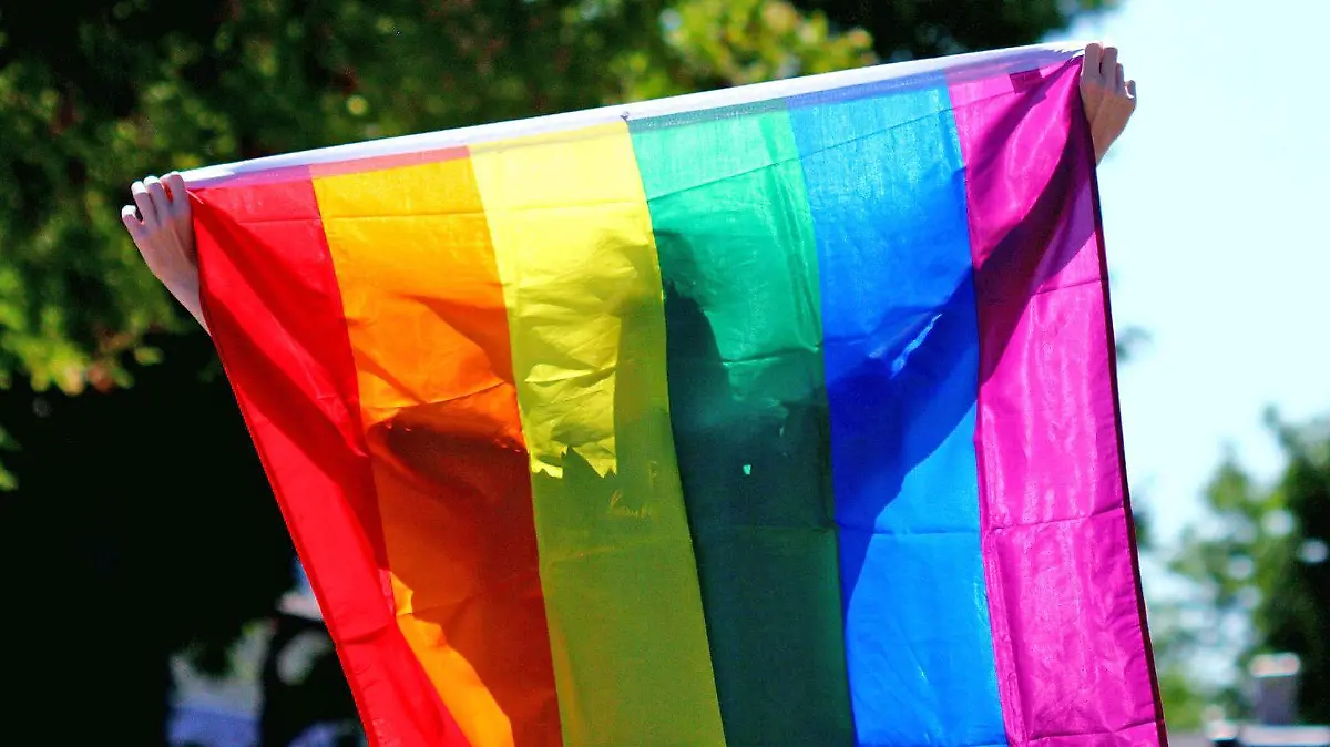 persona sostiene bandera LGBTI